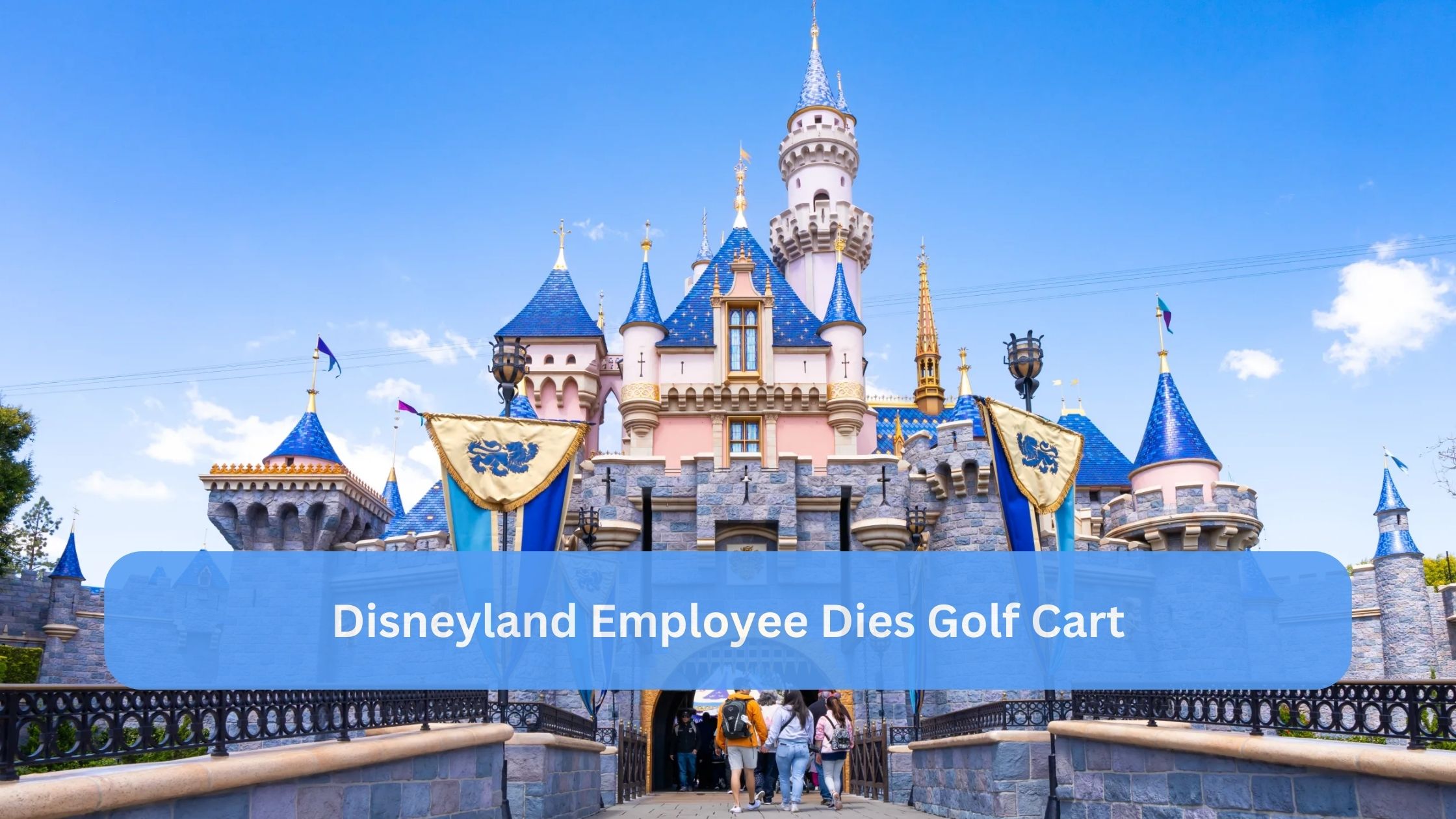 Disneyland Employee Dies Golf Cart